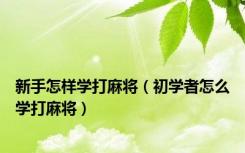新手怎样学打麻将（初学者怎么学打麻将）