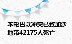 本轮巴以冲突已致加沙地带42175人死亡
