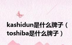 kashidun是什么牌子（toshiba是什么牌子）