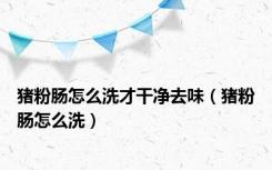 猪粉肠怎么洗才干净去味（猪粉肠怎么洗）