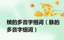 棱的多音字组词（脉的多音字组词）