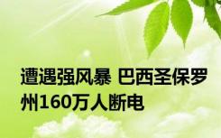 遭遇强风暴 巴西圣保罗州160万人断电