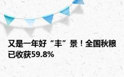 又是一年好“丰”景！全国秋粮已收获59.8%