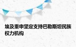埃及重申坚定支持巴勒斯坦民族权力机构