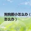 狗狗胆小怎么办（胆小怎么办）