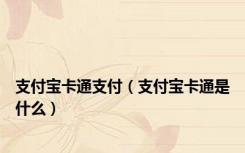 支付宝卡通支付（支付宝卡通是什么）