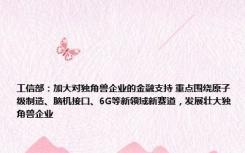 工信部：加大对独角兽企业的金融支持 重点围绕原子级制造、脑机接口、6G等新领域新赛道，发展壮大独角兽企业