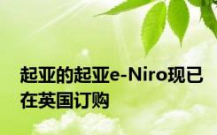 起亚的起亚e-Niro现已在英国订购
