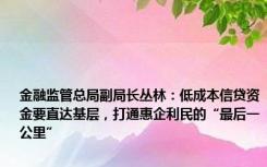 金融监管总局副局长丛林：低成本信贷资金要直达基层，打通惠企利民的“最后一公里”