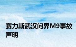 赛力斯武汉问界M9事故声明
