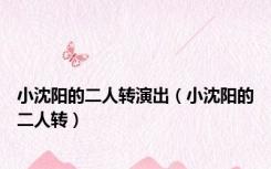 小沈阳的二人转演出（小沈阳的二人转）