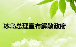 冰岛总理宣布解散政府