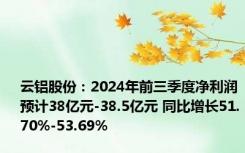 云铝股份：2024年前三季度净利润预计38亿元-38.5亿元 同比增长51.70%-53.69%