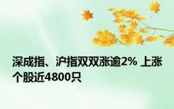 深成指、沪指双双涨逾2% 上涨个股近4800只