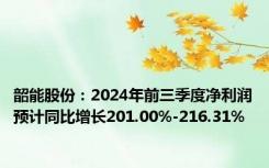 韶能股份：2024年前三季度净利润预计同比增长201.00%-216.31%