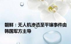 朝鲜：无人机渗透至平壤事件由韩国军方主导