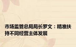 市场监管总局局长罗文：精准扶持不同经营主体发展