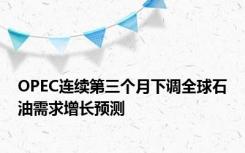 OPEC连续第三个月下调全球石油需求增长预测
