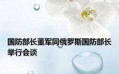 国防部长董军同俄罗斯国防部长举行会谈
