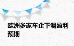 欧洲多家车企下调盈利预期
