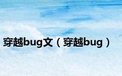 穿越bug文（穿越bug）