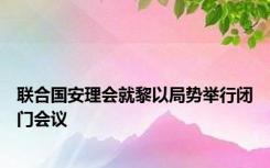 联合国安理会就黎以局势举行闭门会议
