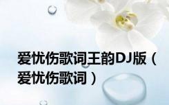 爱忧伤歌词王韵DJ版（爱忧伤歌词）