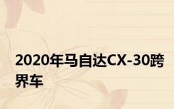 2020年马自达CX-30跨界车