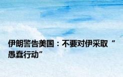 伊朗警告美国：不要对伊采取“愚蠢行动”