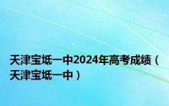 天津宝坻一中2024年高考成绩（天津宝坻一中）