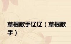 草根歌手辽辽（草根歌手）