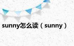 sunny怎么读（sunny）