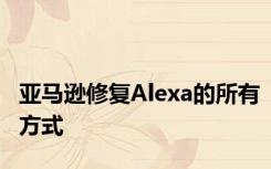 亚马逊修复Alexa的所有方式