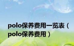 polo保养费用一览表（polo保养费用）