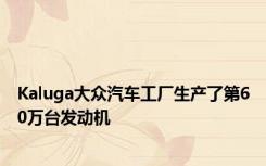 Kaluga大众汽车工厂生产了第60万台发动机
