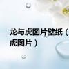 龙与虎图片壁纸（龙与虎图片）