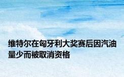 维特尔在匈牙利大奖赛后因汽油量少而被取消资格