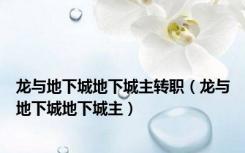 龙与地下城地下城主转职（龙与地下城地下城主）