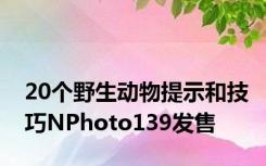 20个野生动物提示和技巧NPhoto139发售