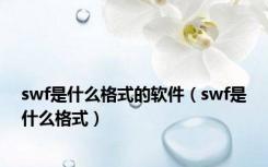 swf是什么格式的软件（swf是什么格式）