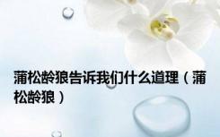 蒲松龄狼告诉我们什么道理（蒲松龄狼）