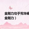金刚力功于宪华瘫痪（金刚力）