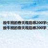 放牛班的春天观后感200字小学生（放牛班的春天观后感200字）