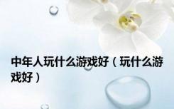 中年人玩什么游戏好（玩什么游戏好）