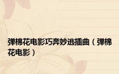 弹棉花电影巧奔妙逃插曲（弹棉花电影）