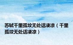 苏轼千里孤坟无处话凄凉（千里孤坟无处话凄凉）