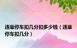 违章停车扣几分扣多少钱（违章停车扣几分）