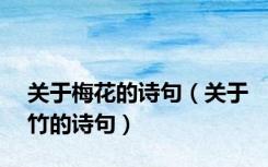 关于梅花的诗句（关于竹的诗句）