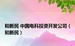 和新民 中国电科投资开发公司（和新民）
