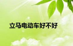 立马电动车好不好